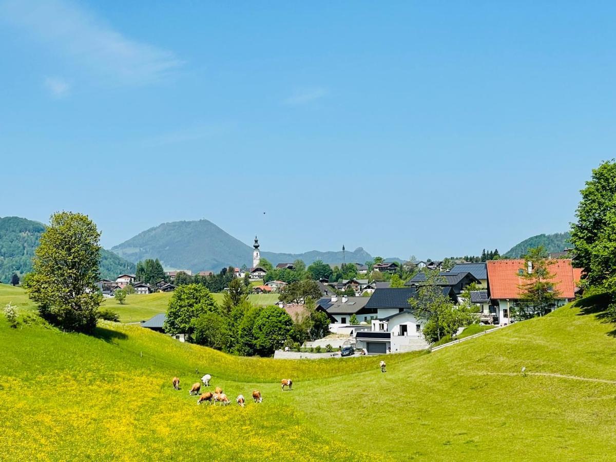 Place2Be - With Infinity Pool Faistenau Buitenkant foto