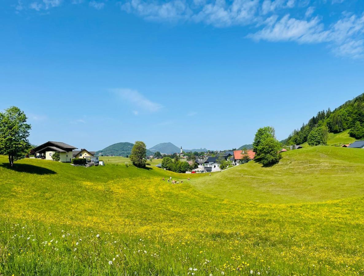 Place2Be - With Infinity Pool Faistenau Buitenkant foto