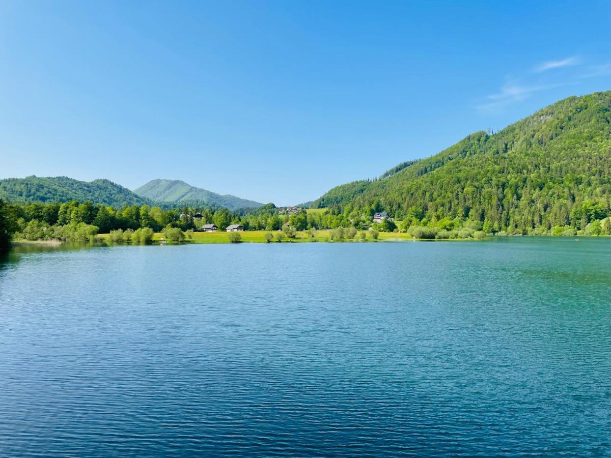 Place2Be - With Infinity Pool Faistenau Buitenkant foto