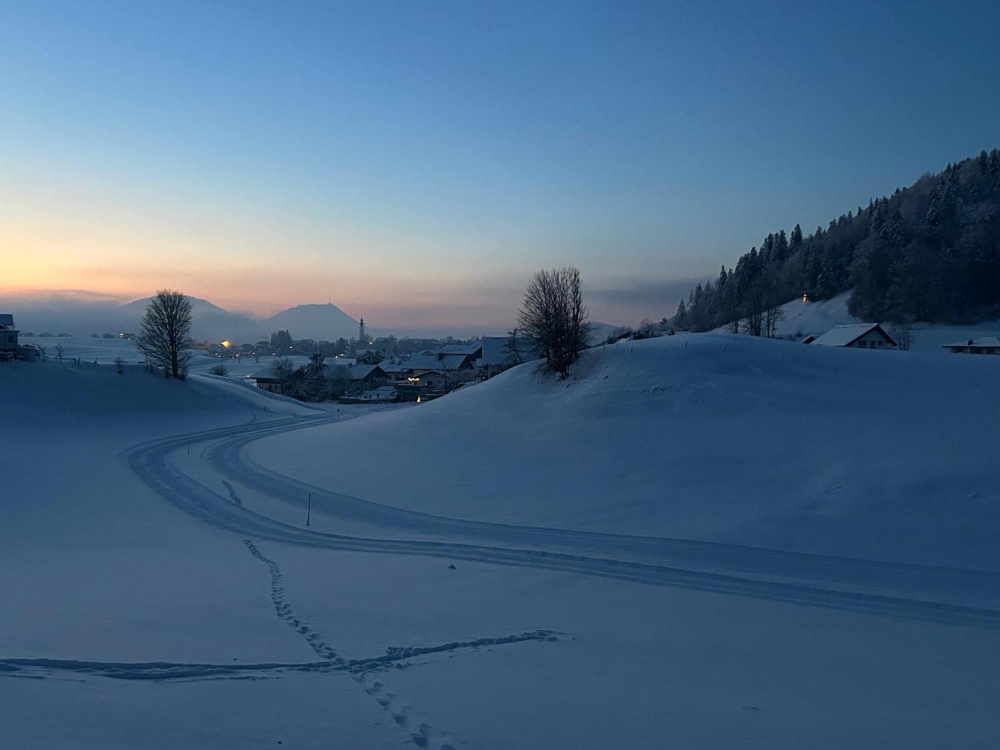 Place2Be - With Infinity Pool Faistenau Buitenkant foto
