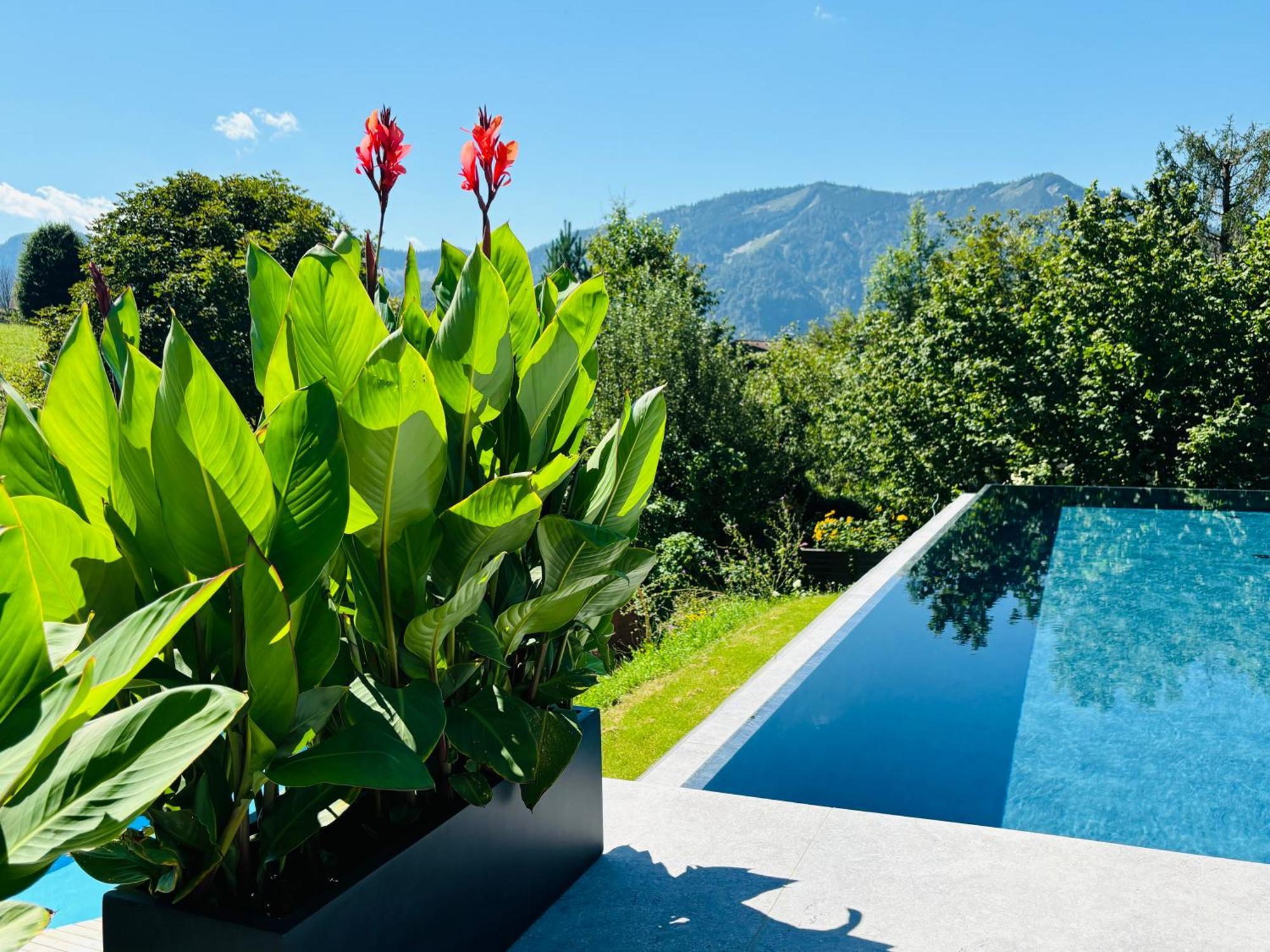Place2Be - With Infinity Pool Faistenau Buitenkant foto
